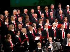 obcinski_praznik_2014_-_valter_leban-1453