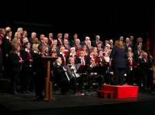 obcinski_praznik_2014_-_valter_leban-1485