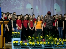 25-LET-OSAMOSV-ILB045