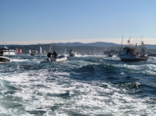 barcolana_2009_013