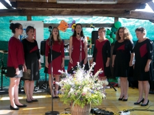 Dan-drzavnosti-2016-002