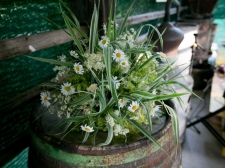 Dan-drzavnosti-2016-038