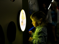 otv-expo-post-jama-kras-045