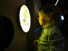 otv-expo-post-jama-kras-046