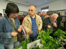 podboj____-_valter_leban-9284