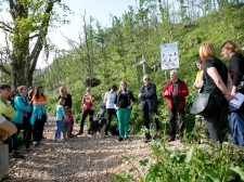 janes_walk_postojna-011