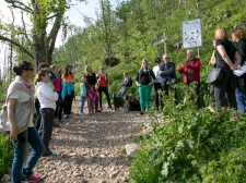 janes_walk_postojna-012