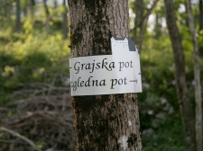 janes_walk_postojna-015