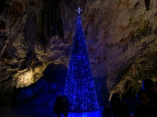 jaslice_v_postojnski_jami_2012-_valter_leban-8888