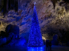 jaslice_v_postojnski_jami_2012-_valter_leban-8891