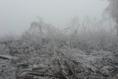 Volčji vrh nad Javornikom 12. februarja 2017