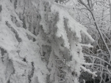 20170212_100113