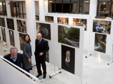 SKOC-JAME-0-LET-20-LET-061