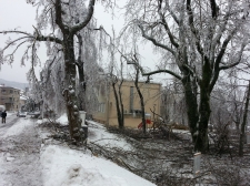 20140201_103603