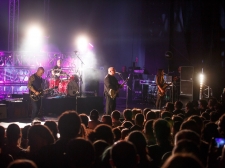 PIXIES - Valter Leban-8362