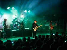 PIXIES - Valter Leban-8381