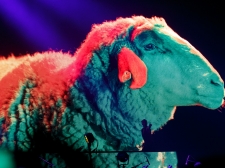 DEPECHE MODE STOŽICE - Valter Leban-1837