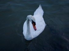 duran_duran_-_03