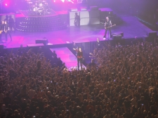 GREEN DAY- Valter Leban-5492