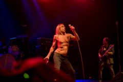 Koncert Iggy Pop