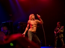 iggy_01