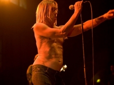iggy_04