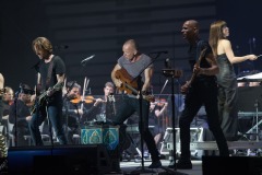 Koncert Sting