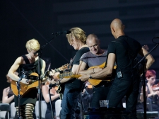sting-02
