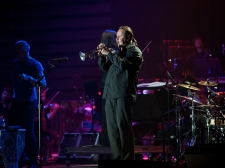 sting-11
