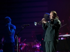 sting-12