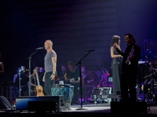 sting-13