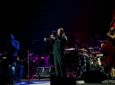 sting-14