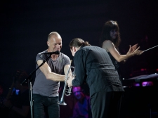 sting-15