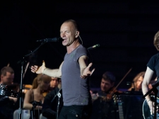 sting-17