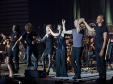 sting-20