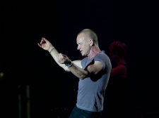 sting-22