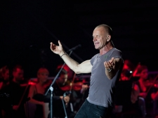 sting-24