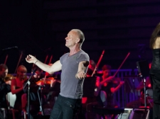 sting-25