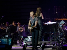 sting-26