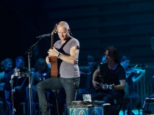 sting-27