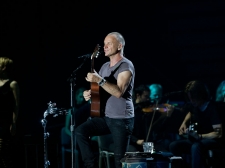 sting-28