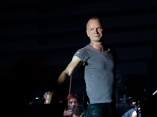 sting-30