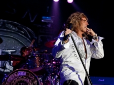 whitesnake_vl-3150