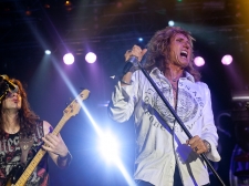 whitesnake_vl-3446