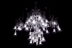 Lestenci v Postojnski jami