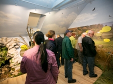 muzej_pivskih_jezer_-_valter_leban-2753