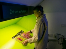 muzej_pivskih_jezer_-_valter_leban-2818