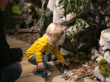 muzej_pivskih_jezer_-_valter_leban-2845