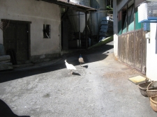 slika_001