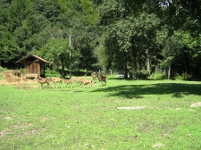 slika_008